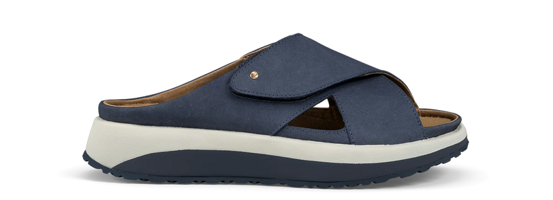 Alicante blue