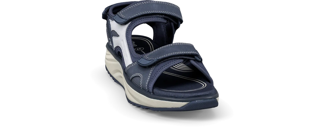 Komodo II blue