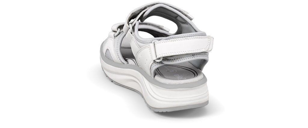 Komodo II SR White