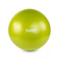 Tiguar Body ball safety plus